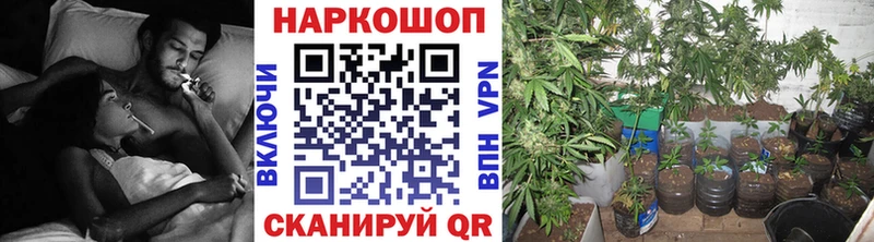 Наркошоп купить ГАШИШ  АМФЕТАМИН  МЕФ  Конопля  Чернушка