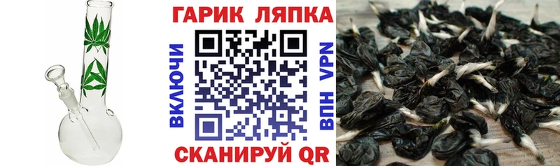 ГАШИШ гашик  Купить закладки  Чернушка 